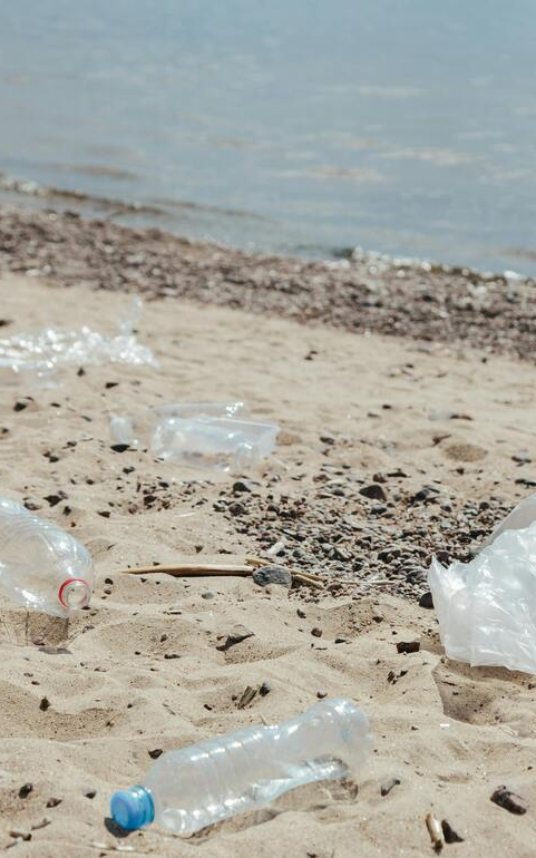 Eco-friendly cleaning: how to reduce your plastic footprint without sacrificing effectiveness